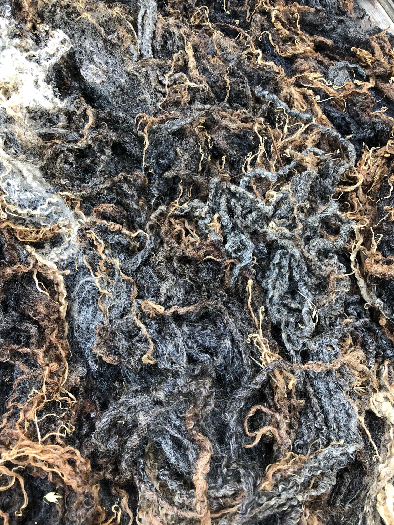 Raw Fleece